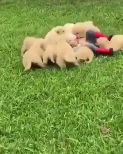 To get away