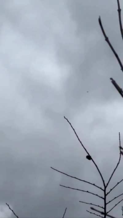 Russian Shahed / Geran UAV destroyed by Ukrainian interceptor drone. 07.03.2026