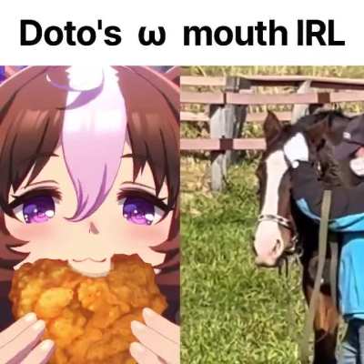 Doto