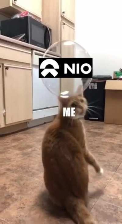 Story Of My Life
