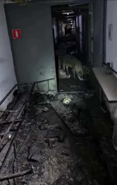 Ru pov: According to the military correspondent ПОГРАНИЧНИК ИЗ АДА this video is from Volchansk