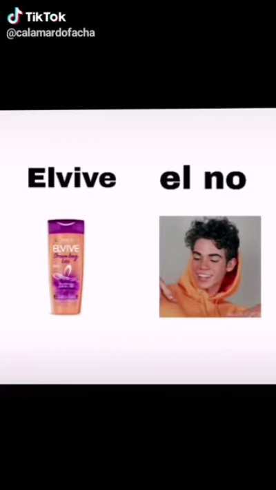 Equisde