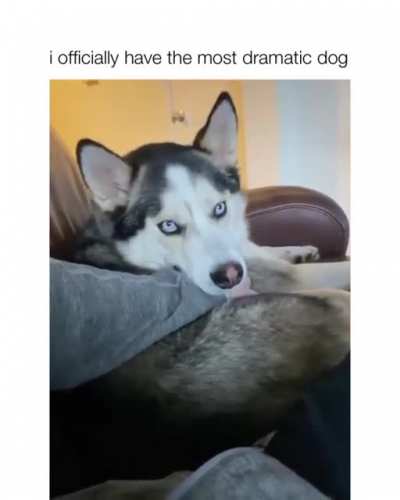 the side-eye in the beginning 😂