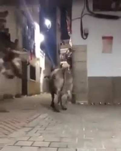 Bulls this week