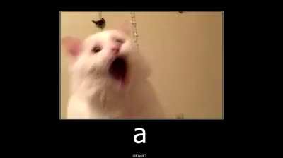 a (hope it wasn't posted before)