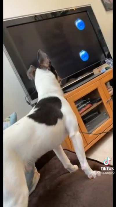 “He was loving his sensory videos until the blueberries came on” - @ jessicabaucke0 on tiktok