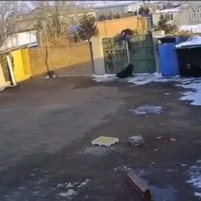 Always pull first