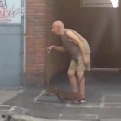 Дедушка гуляет с собакой