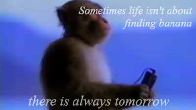 monke reflection