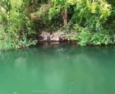 Casual fishing