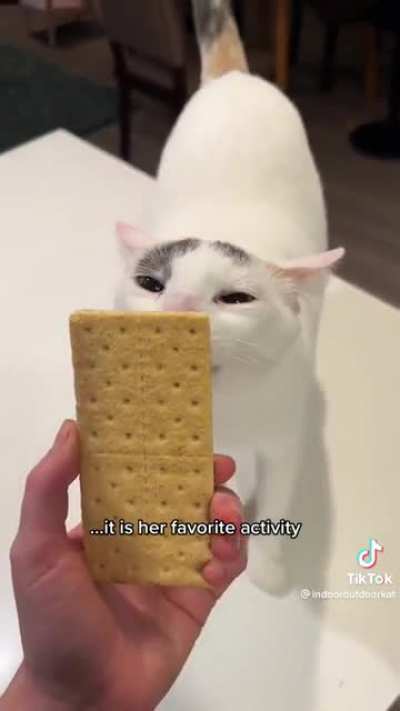 Monday is graham cracker day