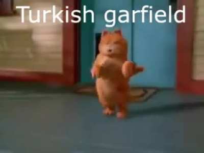 🇹🇷