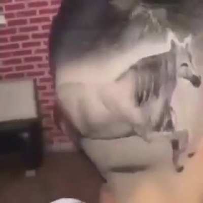 Not even mad, I'm just impressed