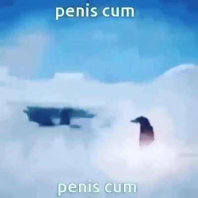 Pp kum