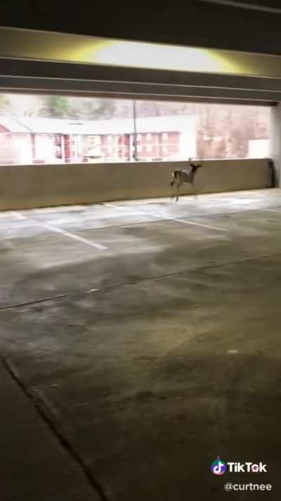 Didn’t quite stick the landing