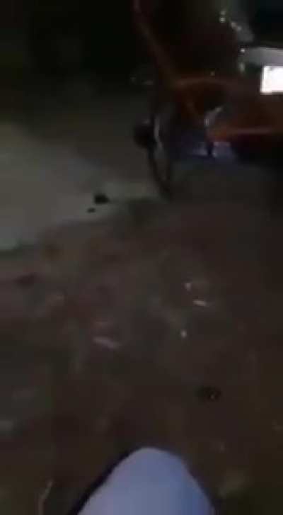 Не Фреди Меркь<wbr>юри, но шоу маст гоу он!