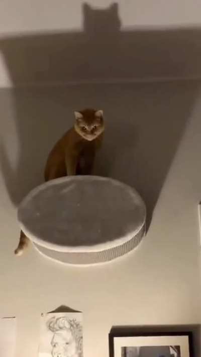 Just you go to sleep now