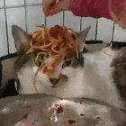 This is my life now