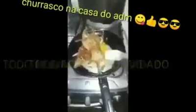 O mestre isplinter morreu .√.