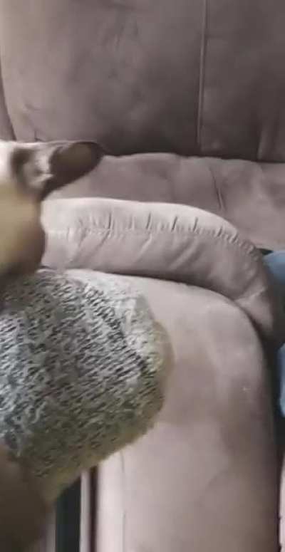I shouldn't have let her do that