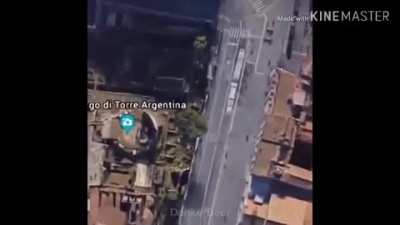 map cat 😳😳😳😳😳<wbr>😳😳😡😳😡<wbr>😡😳😡😳