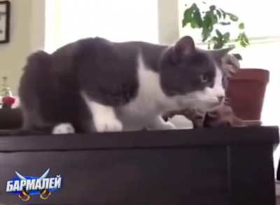 Tissue box