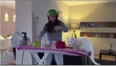 A flying cat