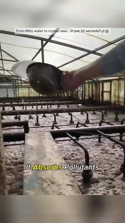 See how wastewater plants use flocculants and filter presses to separate sludge from water in under a minute!