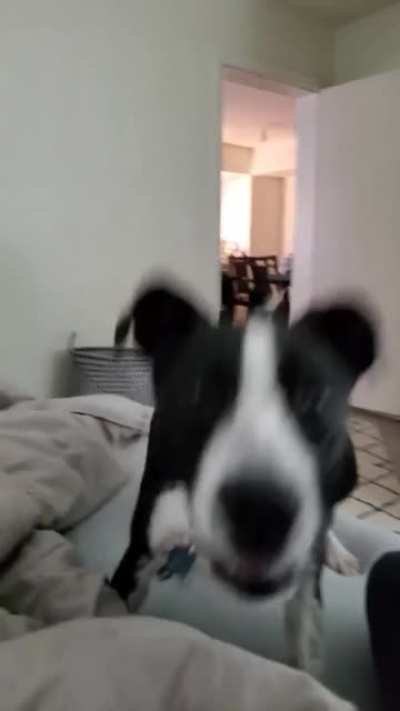 When You Open a Bag of Snacks ...