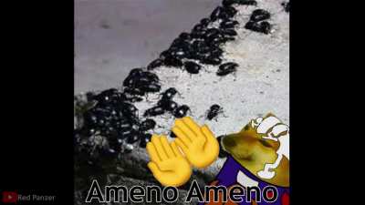 You just got Puccheemed, u must pray 5 times a day for salvation