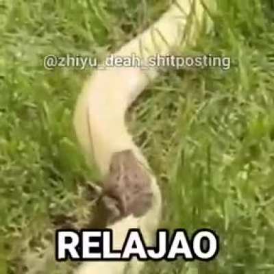 Relajao