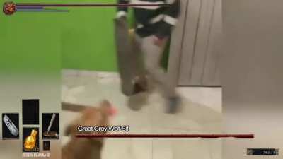 RUN HUMAN