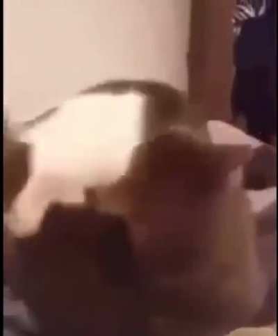 Nom