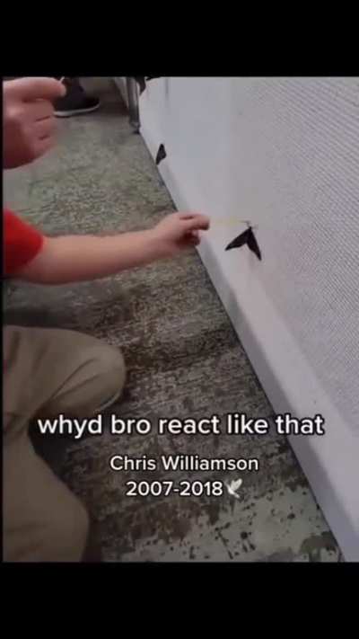 bro?🕊️