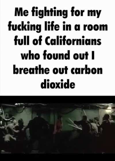 stay away from my CO2 you animals