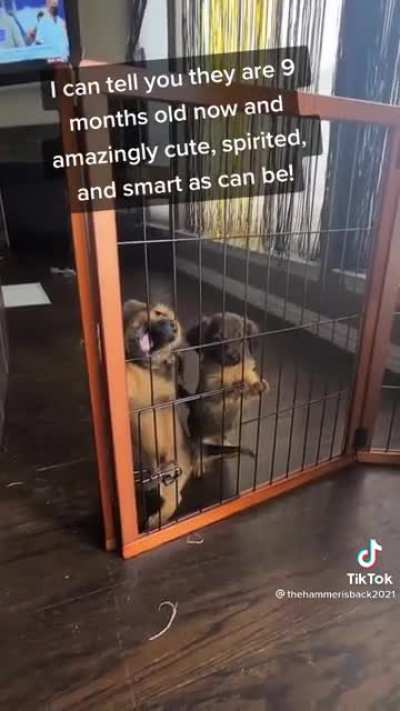 Titan and Tucker are trapped