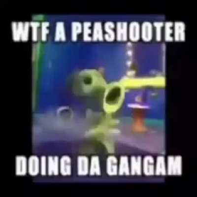 WTF A PEASHOOTER DOING DA GANGAM