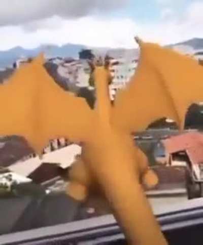 sai dai charizard