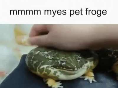 frog cuz i wanna leave