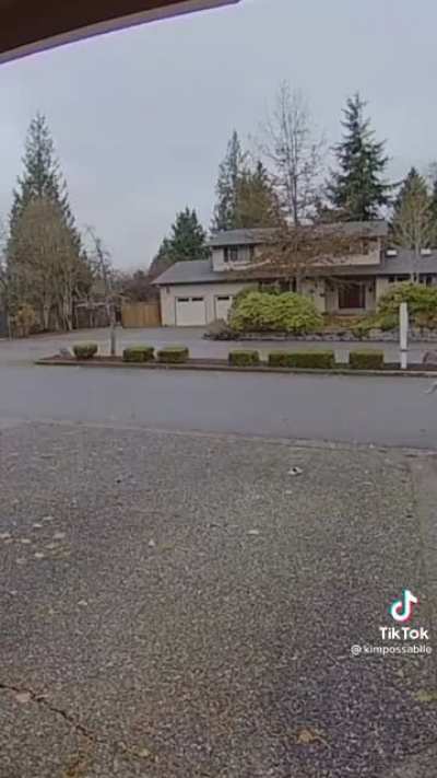 Package thief caught