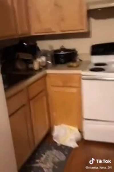 Lena Bull’s house is CLEAN ya’ll.