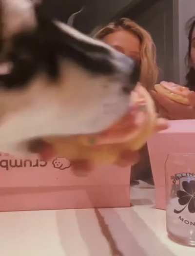Showing the expensive gourmet cookie that she bought