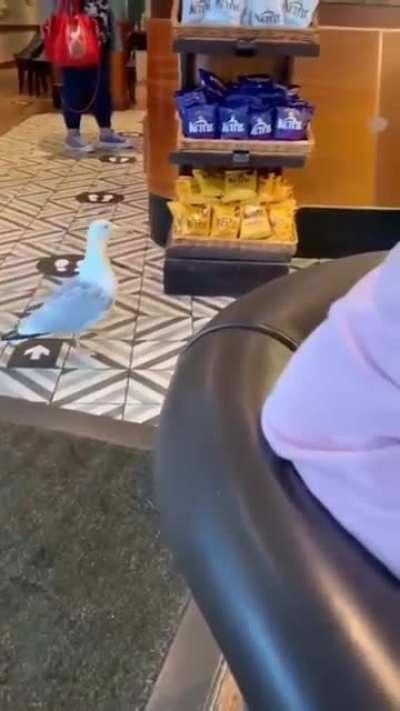 Sneaky sneaky