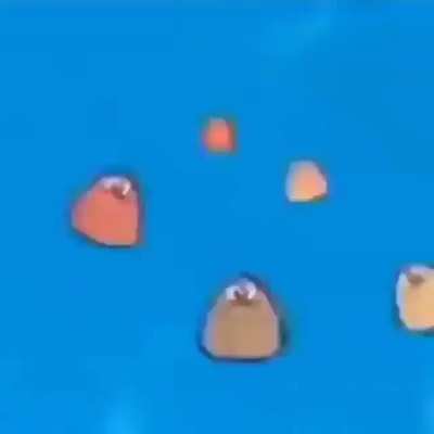 Pou lore: