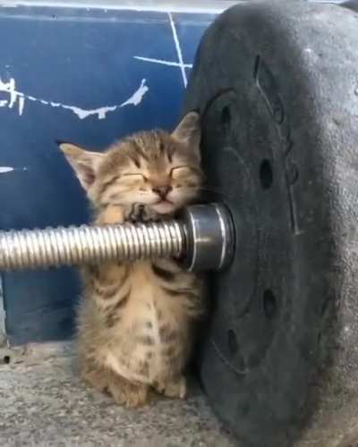 Sleeping athlet