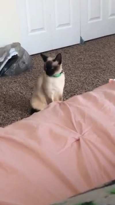 FROM OUTTA NOWHERE