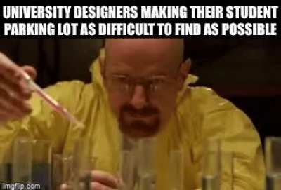 universities be like