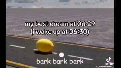 Fever dream
