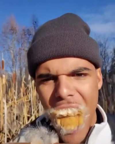 Shitpost 113 que pendejo