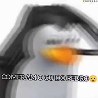 Puta merda pedro.